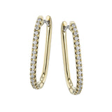 LE4617-Y HOOP EARRING