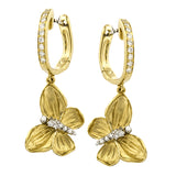 DE277 EARRING