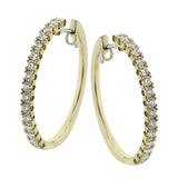 LE4648-Y HOOP EARRING