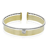 LB2401 BANGLE