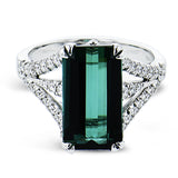 LR2962 COLOR RING