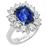 LR2324 COLOR RING