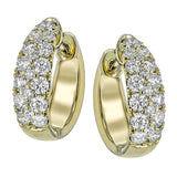 LE4662-Y HOOP EARRING