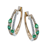 LE4691-Y COLOR EARRING