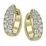 LE4662-Y HOOP EARRING