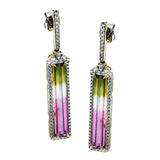 LE4819 COLOR EARRING