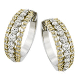 LE4729 HOOP EARRING