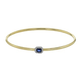 LB2494 COLOR BANGLE
