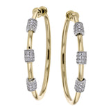 LE4996 HOOP EARRING