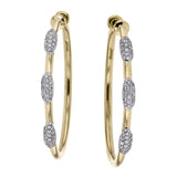 LE4995 HOOP EARRING