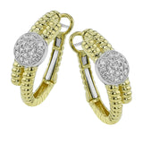 LE4869 HOOP EARRING