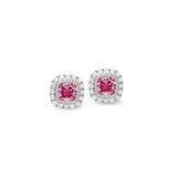 Platinum finish sterling silver micropave simulated pink sapphire earrings with simulated diamonds