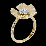 18K2T Ring .35D